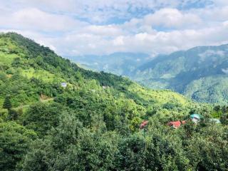 Birds Eye - Bhimtal - 1