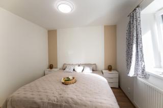Apartmán Srdce Vysočiny - Svratouch - 3
