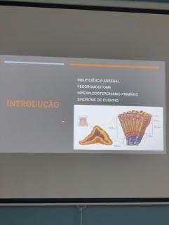 apartamento- ilhéus - Ilhéus - 2