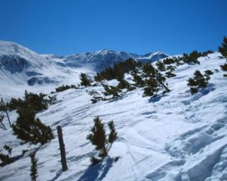 Ski liviomoritz at gma il com Chalet - 2