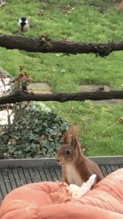 Über den Dächern von Koblenz - Aussichts-Wohnung Naturpark Rheinblick, ruhig, zentrumsnah, Sport-Pool - Coblenza - 1