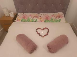 Pringle Inn with Felicia - Great Baddow - 6