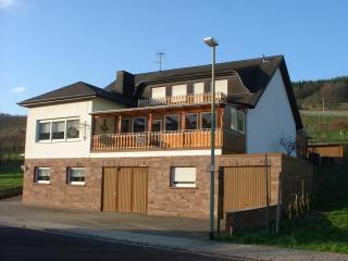 Pension Kroth an der Mosel - Briedel - 6