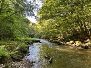 FeWo Burgblick - Bad Blankenburg - 2