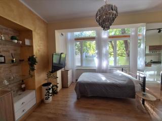 Hazelnut Apartment Novi Sad - 9