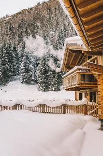 Gletscher-Chalet Stubai - Neustift im Stubaital - 8