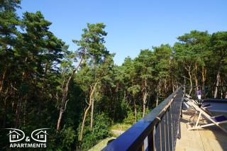 Pine Tree House 10 D&D Apartments - Międzywodzie - 7