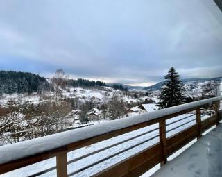 Balcon des Gouttridos, imprenable vue lac 6p - 7