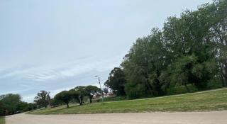 Estudio Alma - Miramar - 2
