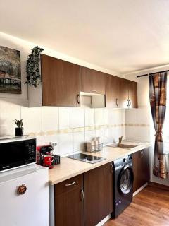 Skyline Mountain Home - Vatra Dornei - 2