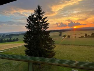 Apartment mit Grünblick & Wintergarten im Schwarzwald - Löffingen - 3