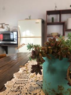Casita Curanto - 5
