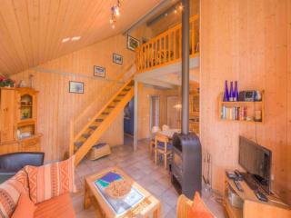 haustierfreundliches Ferienhaus - Rechlin - 1