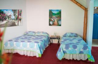 Finca Hotel San Cristobal Quindio - Montenegro - 8