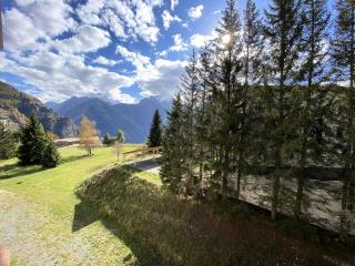 Résidence Le Midi - Super Studio exposé SUD quartier Venosc MAE-5341 - Vénosc - 1
