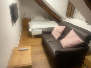 Aparthotel Splendid City Center - Zurigo - 7