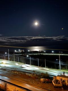 Mirando al canal - Ushuaia - 3