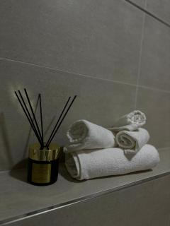 SYMPHONY No 501 Apartment MyMozart - Prag - 3