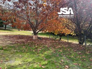 Glengarry - Jindabyne - 5