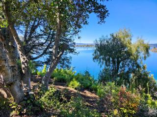 Costa de Lago - Cullelafquen - Villa Pehuenia - 2