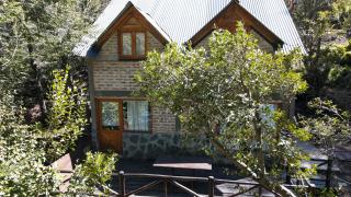 Costa de Lago - Cullelafquen - Villa Pehuenia - 9