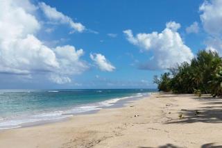 Louisa Apart-Hotel Las Ballenas - Las Terrenas - 9