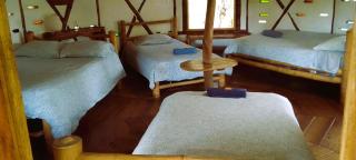 Hotel La Casa de Francois - 9