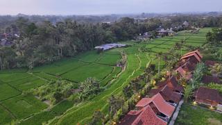Ubud Art Resort - Ubud - 4