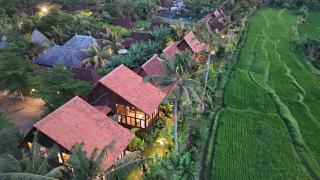Ubud Art Resort - 5