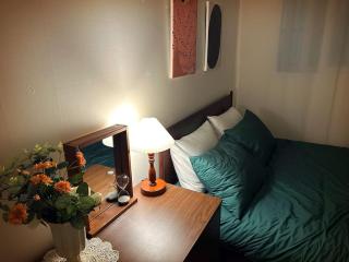 Clean & All new - Songridan-gil, Seokchon Lake, Lotte World, KSPO Dome, Olympic Park, Han River, Asan Hospital, Coex - Seul - 0