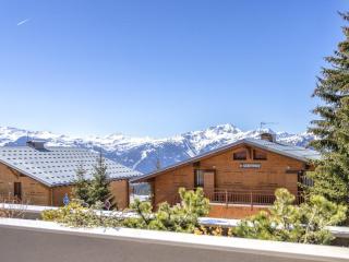 Appartement 4 pièces aux Saisies avec SPA, parking, accessible PMR - FR-1-810-4 - Les Saisies - 3