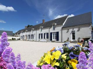 Ferme rénovée avec charme en Beauce, 4 chambres spacieuses, proche châteaux de la Loire - FR-1-590-459 - Cravant - 6