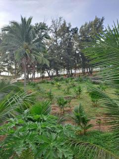 AN THINH Hotel & Homestay - Bình Tú - 3