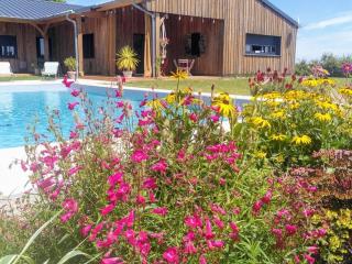 Chambre 4 pers avec piscine chauffée & WiFi - FR-1-591-708 - 9