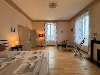 Chambres élégantes avec piscine et parking - FR-1-591-696 - Le Blanc - 6