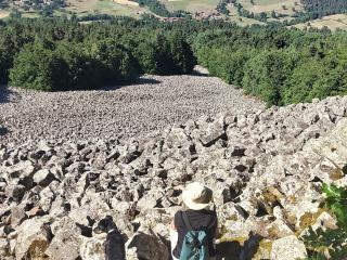 Maison d'hôtes paisible avec petit-déjeuner près de la forêt - FR-1-582-509 - 1