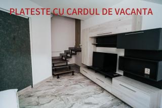 Apartment Attic - Sibiu - 0