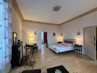 Chambres élégantes avec piscine et parking - FR-1-591-696 - Le Blanc - 8