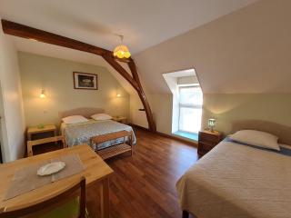 Chambres spacieuses près de Beaugency, petit-déjeuner inclus - FR-1-590-455 - Cravant - 0