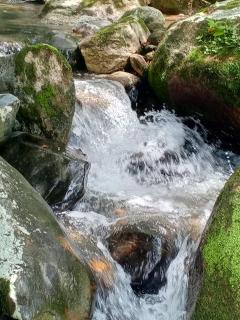 Cabaña en el Bosque - Cocorná - 1