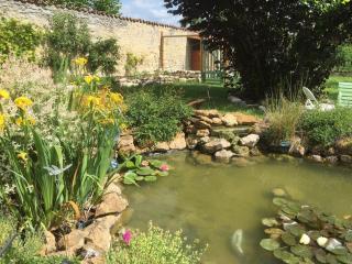 Chambres spacieuses avec salle d'eau, salon cheminée, jardin détente - Lorraine - FR-1-585-143 - 7