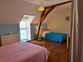 Ferme rénovée près de Beaugency, 4 chambres, petit-déjeuner maison, proche Loire à Vélo - FR-1-590-445 - Cravant - 9