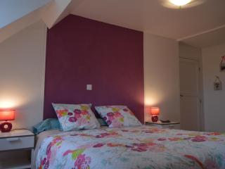 Chambre "Rose" dans Maison de Maître avec Parking et Recharge Véhicule - Le Blanc - FR-1-591-675 - Le Blanc - 4