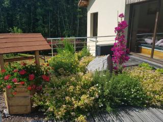 Chambre familiale avec piscine et SPA à Anould - FR-1-589-708 - Anould - 7