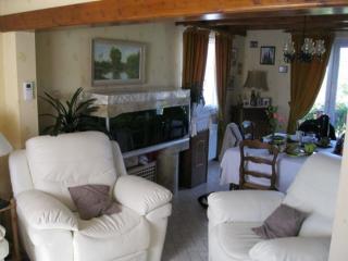 Chalet cosy avec cheminée et animaux acceptés - FR-1-585-144 - - 1