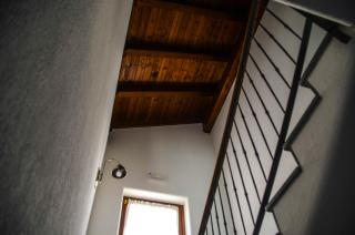 Les Vrais Rayons - 5