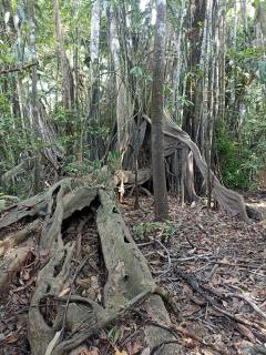 Atacuari Salvaje Tours Amazonas - 0