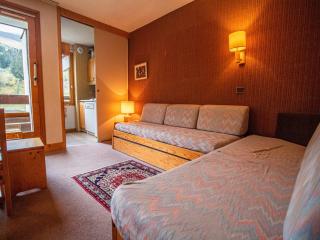Appartement 2P au pied des pistes, animaux admis - FR-1-356-523 - Valmorel - 0