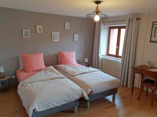Charmantes chambres d'hôtes en montagne, animaux admis sur accord - FR-1-589-729 - Ventron - 6