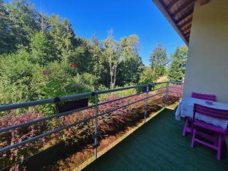 Chambre spacieuse avec piscine, spa et hammam - FR-1-589-721 - Anould - 1